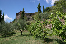 giardino albergo casentino